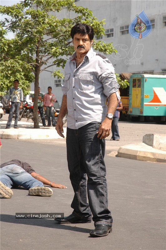 Simha Movie New Stills (CineJosh Exclusive) - 21 / 52 photos