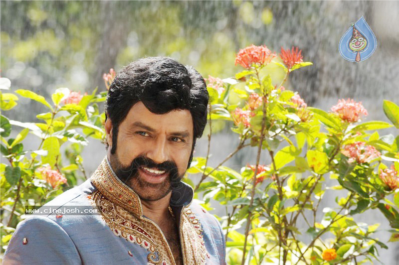 Simha Movie New Stills (CineJosh Exclusive) - 22 / 52 photos