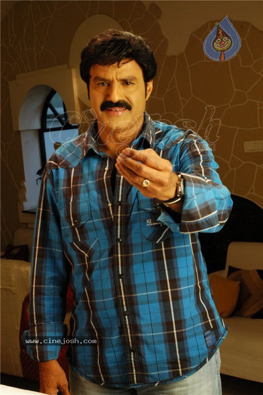Simha Movie New Stills (CineJosh Exclusive) - 25 / 52 photos