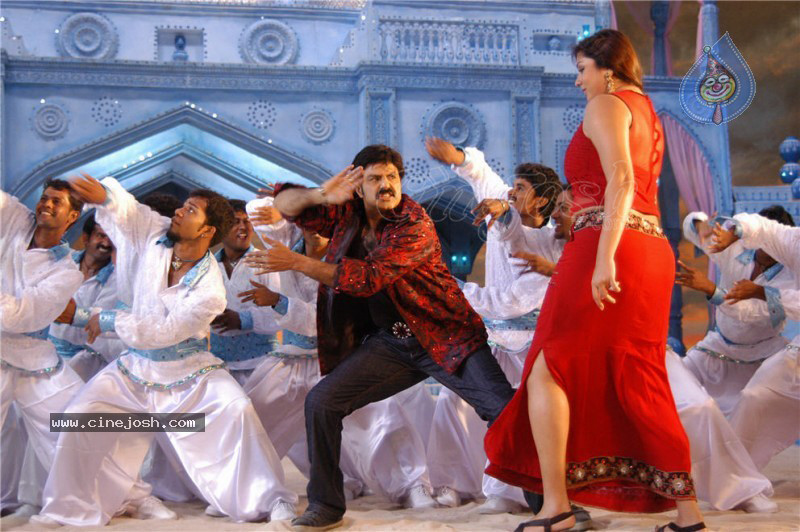 Simha Movie New Stills (CineJosh Exclusive) - 35 / 52 photos