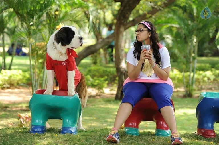 Size Zero Latest Photos - 2 / 2 photos