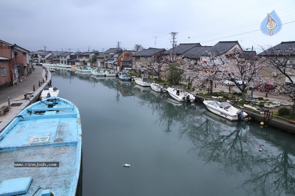 Something Something New Pics - 11 / 37 photos