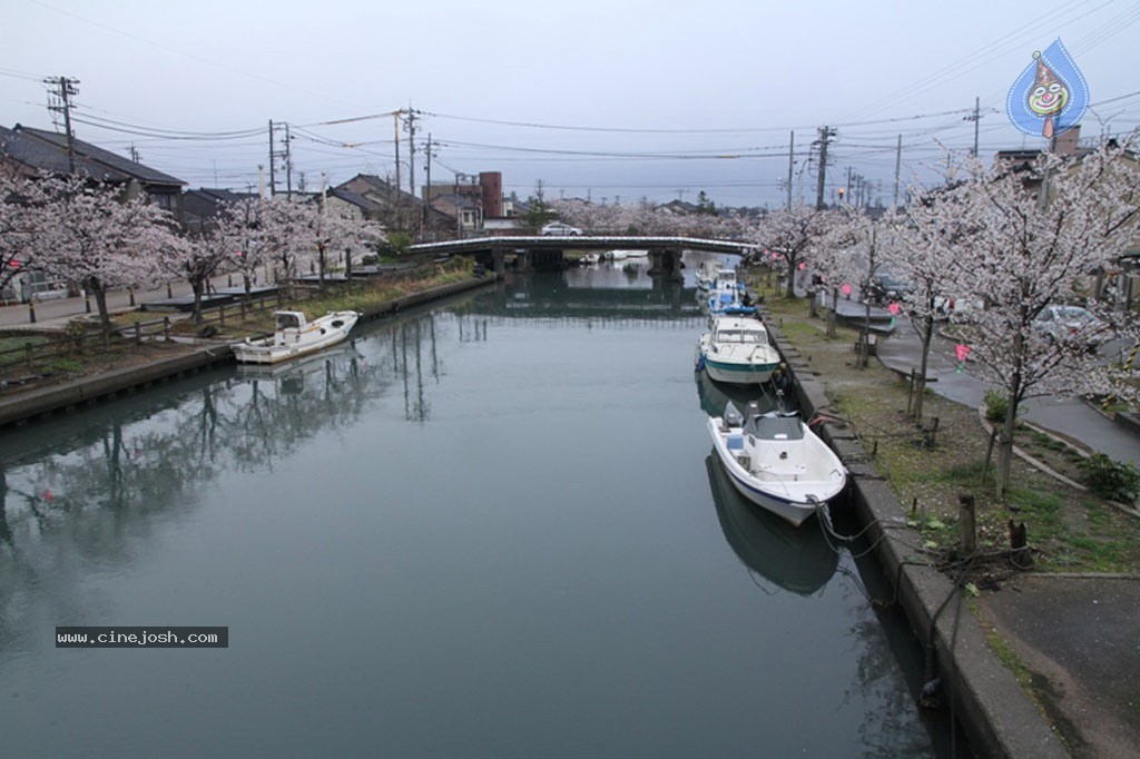 Something Something New Pics - 15 / 37 photos