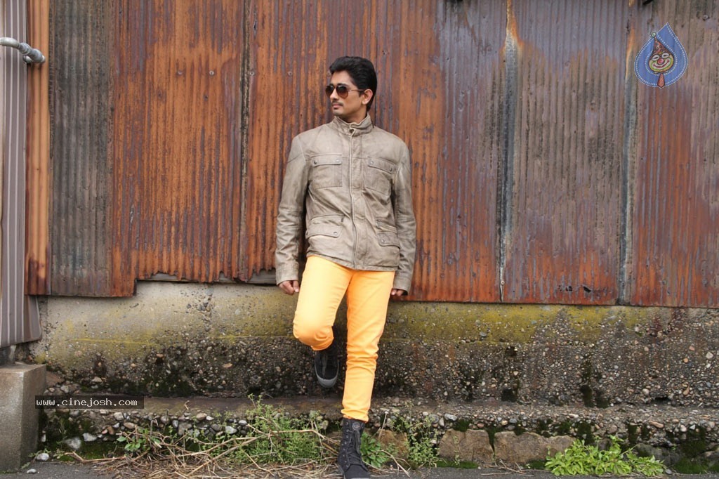 Something Something New Pics - 16 / 37 photos