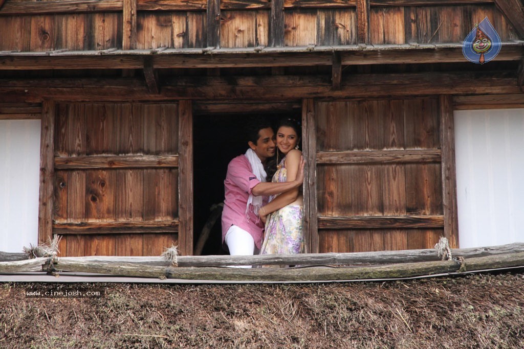 Something Something New Pics - 20 / 37 photos