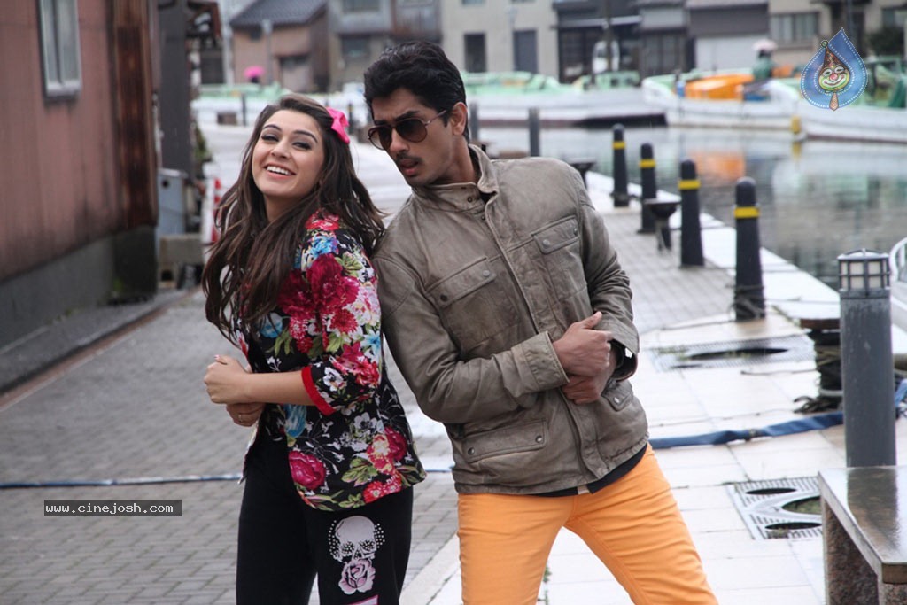 Something Something New Pics - 24 / 37 photos