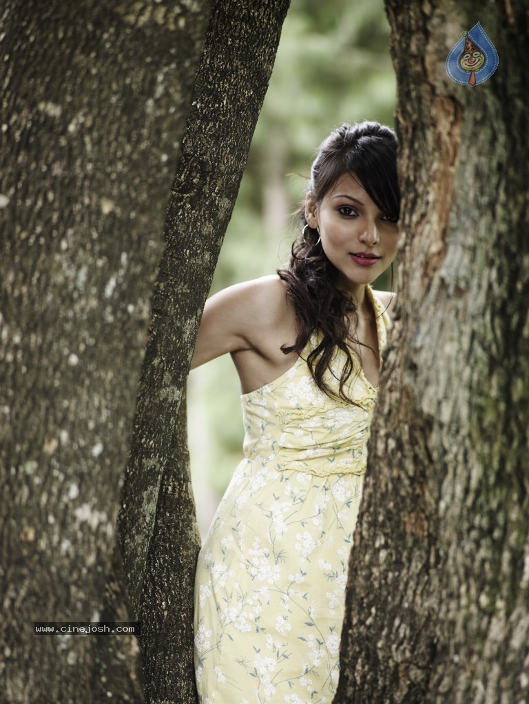 Surya the Great Movie Stills - 31 / 38 photos