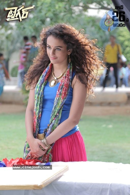 Tiger Movie New Photos - 8 / 10 photos
