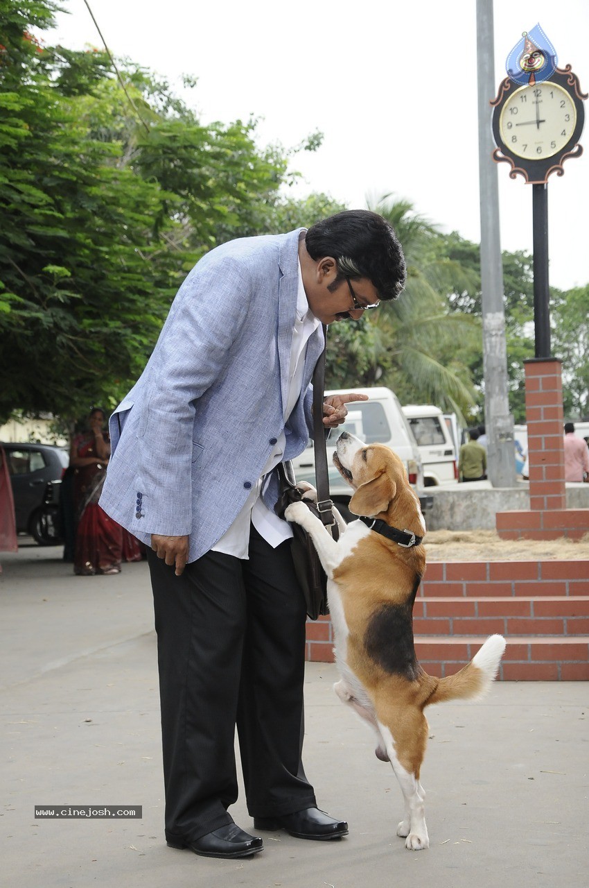 Tommy Movie New Photos - 7 / 15 photos