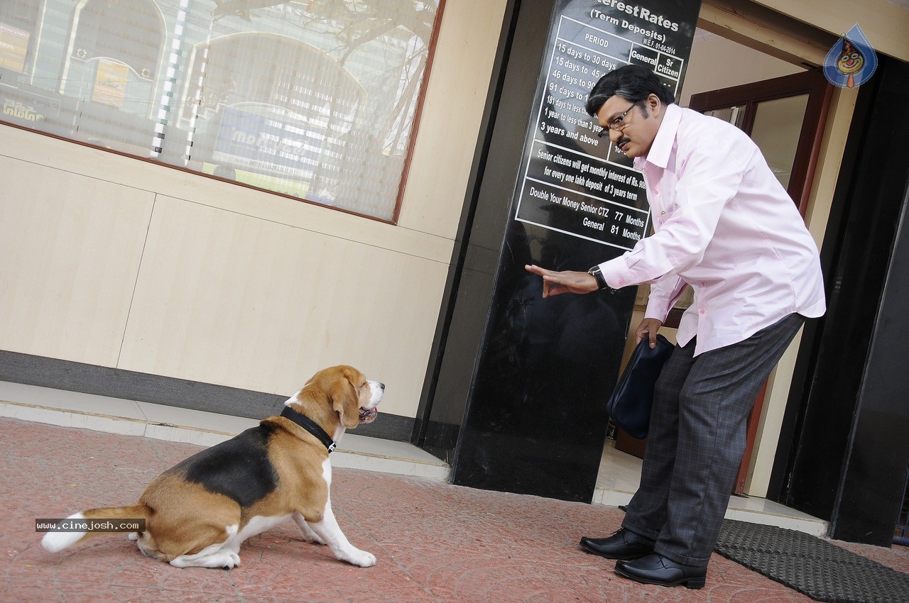 Tommy Movie New Photos - 14 / 15 photos