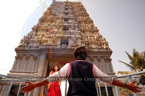 U & I - 123 / 152 photos