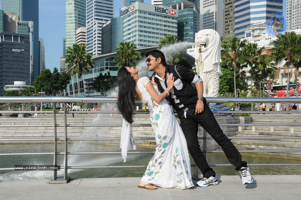 Veediki Dookudekkuva Movie Stills - 29 / 42 photos