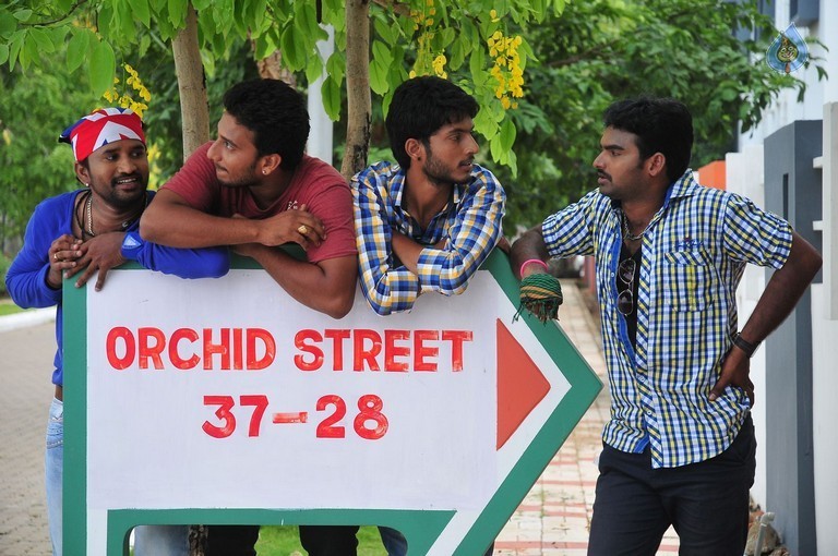 Veelaithe Premiddam Film Stils - 42 / 46 photos