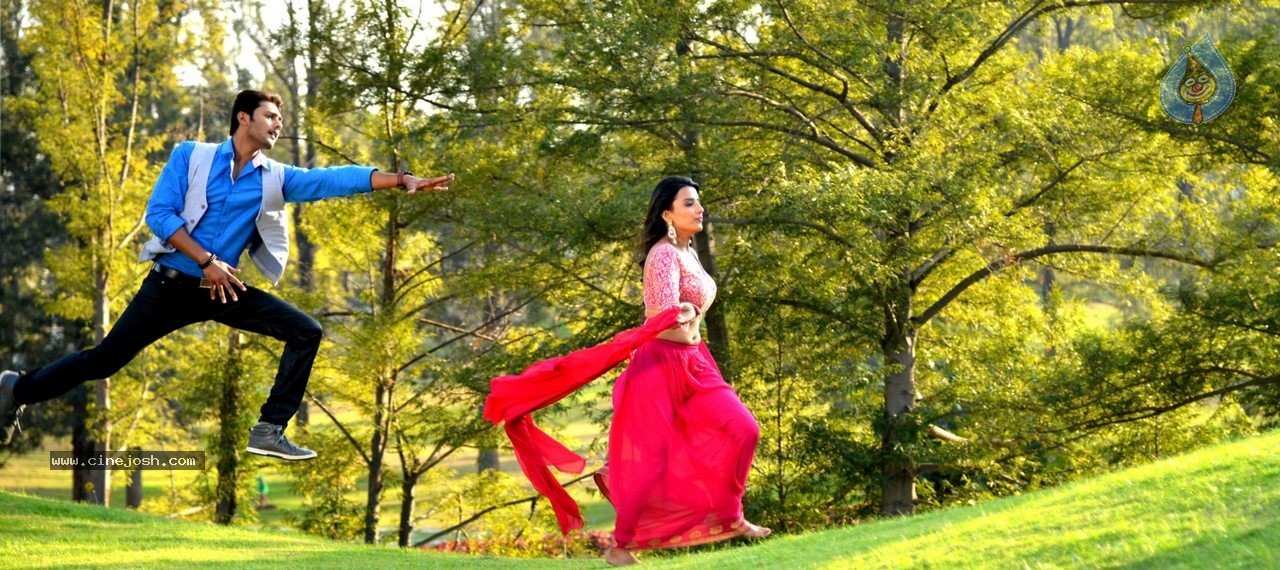 Where is Vidyabalan Movie Gallery - 21 / 109 photos