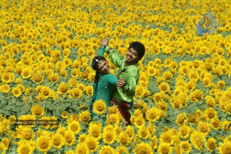 Yama Kantri Movie New Stills - 71 / 99 photos