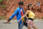 Alasyam Amrutham Movie New Photo Gallery - 11 of 32