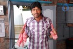 Allari Naresh new movie stills - 38 of 46