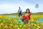 Amayakudu Movie Stills - 48 of 69