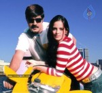 America Alludu Movie Stills - 7 of 59