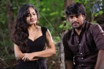 Aravind 2 Movie Stills - 8 of 66