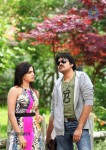 Attarintiki Daaredi Movie New Stills  - 7 of 9
