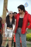 Autowala Movie Stills - 35 of 62