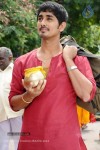 Baava Movie Latest Stills - 1 of 14