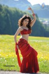 Badrinath Movie Stills - 5 of 9