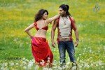 Badrinath Movie Stills - 6 of 9