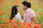 Badrinath Movie Stills - 8 of 9