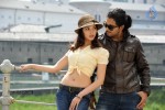 Badrinath Movie Stills - 9 of 16