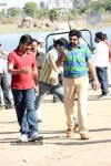 Balakrishna's Simha Movie Latest Gallery - 10 of 40