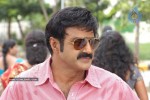 Balakrishna's Simha Movie Latest Gallery - 27 of 40