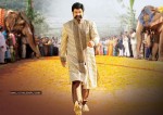 Balakrishna's Simha Movie Latest Gallery - 29 of 40