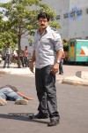 Balakrishna's Simha Movie Latest Gallery - 40 of 40