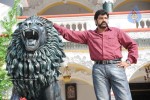 Balakrishna's Simha Movie New Gallery (Xclusive CineJosh) - 30 of 37
