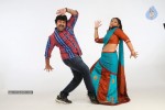 Barishtar Shankar Narayan Stills - 25 of 124