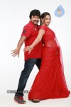 Barishtar Shankar Narayan Stills - 43 of 124