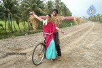 Betting Bangarraju Movie Stills - 12 of 22