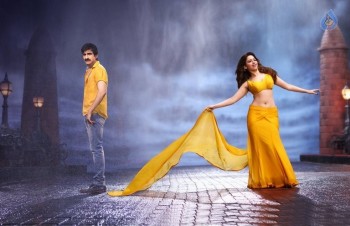 Bengal Tiger New Photos and Posters - 24 of 24