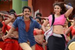 Bhai Movie Latest Stills - 25 of 36