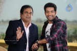 Brindavanam Movie Latest Stills - 5 of 22