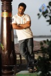 Brindavanam Movie Latest Stills - 19 of 22