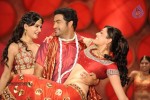 Brindavanam Movie New Photo Gallery - 9 of 15