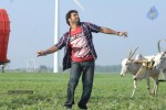 Brindavanam Movie New Photo Gallery - 14 of 15