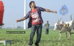 Brindavanam Movie New Stills - 21 of 21