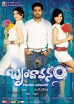 Brindavanam Movie Wallpapers - 14 of 15