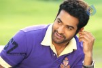 Brindavanam Movie Stills - 17 of 28