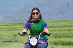 Chandrakala Movie New Photos - 1 of 14