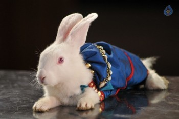 Chandrullo Unde Kundelu Movie Stills - 75 of 92